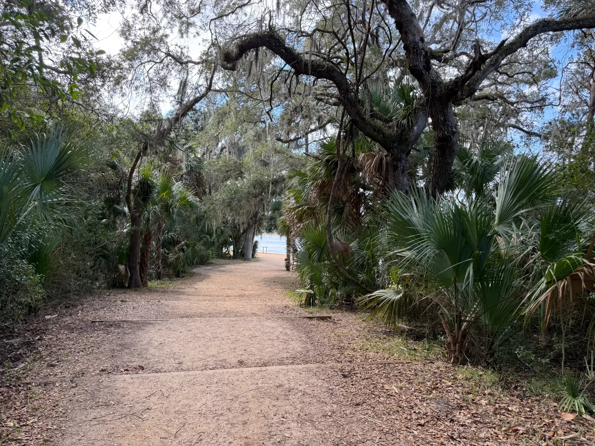 Sendero del parque hacia la playa